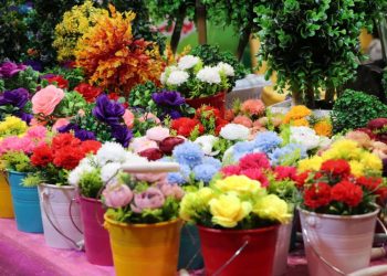 آلبوم عکس هفدهمین نمایشگاه بین‌المللی گلخانه، باغبانی، گل و گیاه و تجهیزات وابسته شیراز