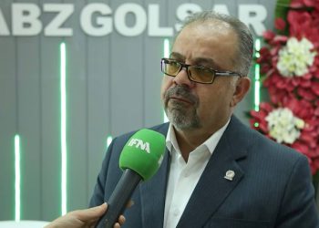 مدیرعامل شرکت رایکا: شرکت دانش بنیان رایکا تیم جوان و پویایی دارد