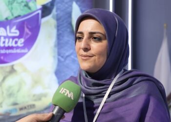 دیلی مناسب برای رژیم‌های غذایی