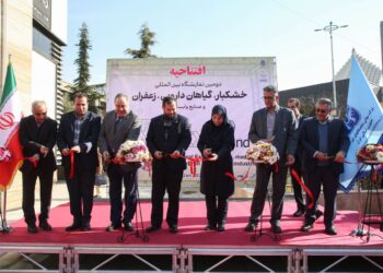 نمایشگاه خشکبار