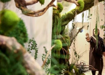 نمایشگاه میدکس