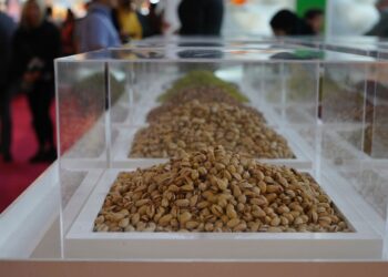 نمایشگاه ایران اکسپو