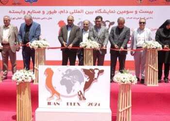 کشور ما در صادرات متخصص نشده است