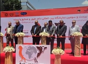 نمایشگاه دام و طیور