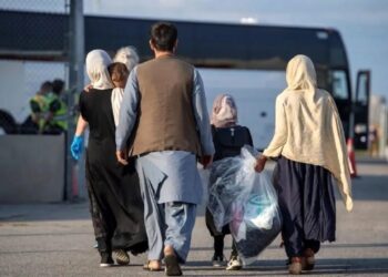 جزئیات جدید از طرح ساماندهی اتباع خارجی