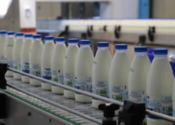 شیر به زودی گران می‌شود