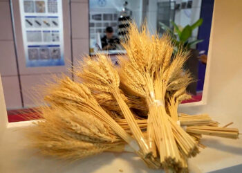 طیف متنوعی از  انواع آرد در آرد جنوب