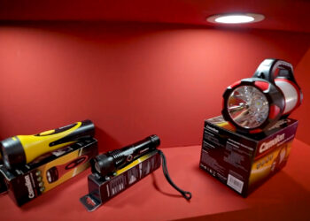 کملیون یک دوست پرانرژی