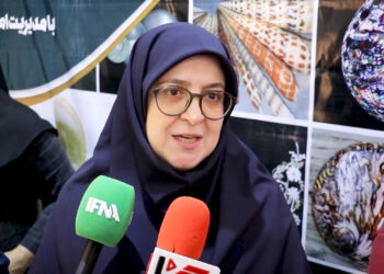 سخنگوی دولت در نمایشگاه صنایع دستی ؛ زنان یکی از ارکان اصلی توسعه صنایع دستی هستند