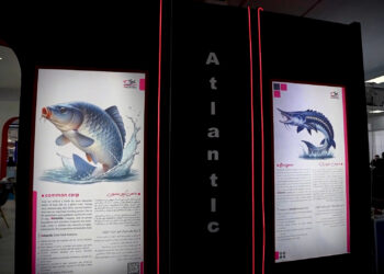 ایران برترین صادرکننده قزلآلای رنگين کمان