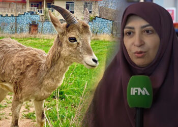 در حاشیه نمایشگاه ایران ساخت ؛ آب پاکی رئیس سازمان محیط زیست روی دست تیمارگر چالان چولان