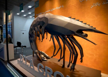 گردش در نمایشگاهی پر از ماهی