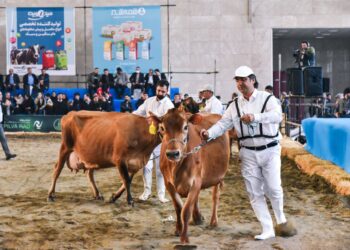 اولین نمایشگاه دام وطیور در شهرآفتاب