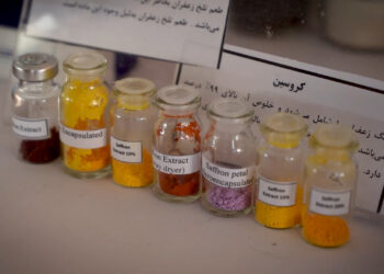 نمایشگاه پژوهش 1403 پر از حس خوب