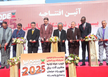 نمایشگاه چوب بیست و دو ساله شد