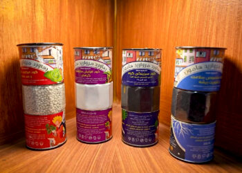 با دیدن این گزارش گلدان هایتان سبز می ماند