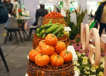 نمایشگاهی برای باغبانی