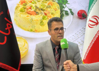 مدیرعامل شامانا؛ ما حتی با تحریم مشکلی نداریم ولی برق چالش اصلی ماست