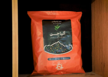 با آلپاچی عشق را بنوش