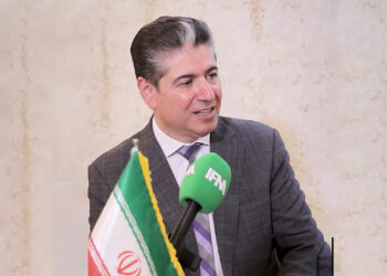 اگر دولت پای کار نباشد کسب و کارها تعطیل می شود