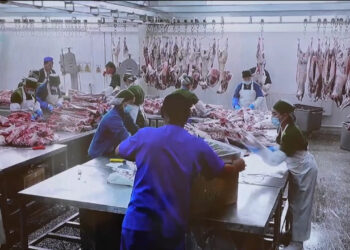 پشت پرده قیمت گوشت و مرغ