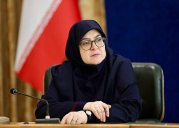 هشدار سخنگوی دولت پس از فیلم شمخانی: مراقب باشید مردم را عصبانی نکنید