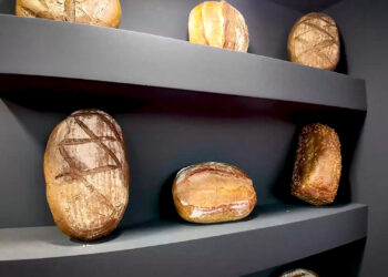 شهر آفتاب میزبان هورکا شد