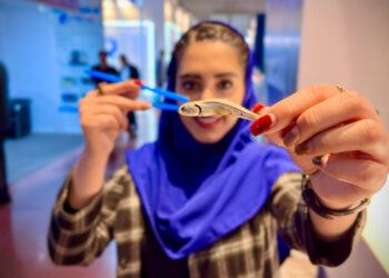 راز گرانی غذاهای دریایی؛از سوشی تا لابستر