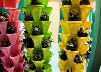 کشاورزی ایران وایران سبز در نمایشگاه تهران