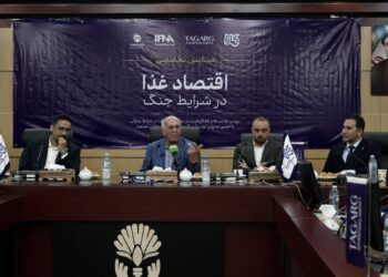 اقتصاد غذا در شرایط جنگ درحاشیه ایران آگروفود