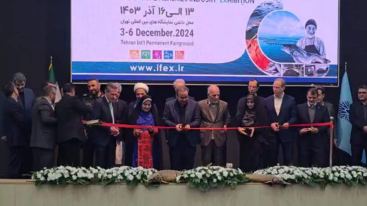 نمایشگاه میدکس